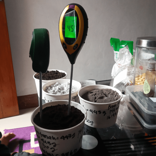 Proses Pengambilan Data Kelompok 8 MIPA 5 (2)